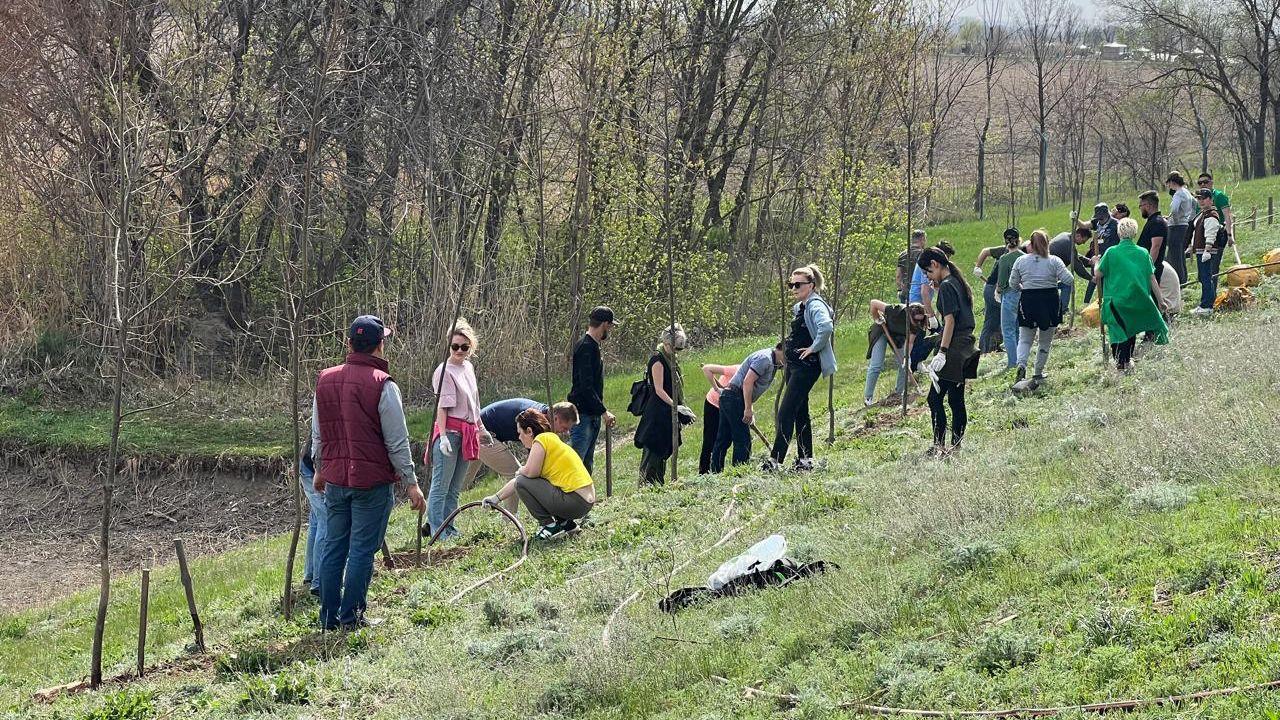 В Алматинской области прошли «Дни чистоты»: в акции приняли участие около 39 тысяч человек и собрали более 760 тонн мусора