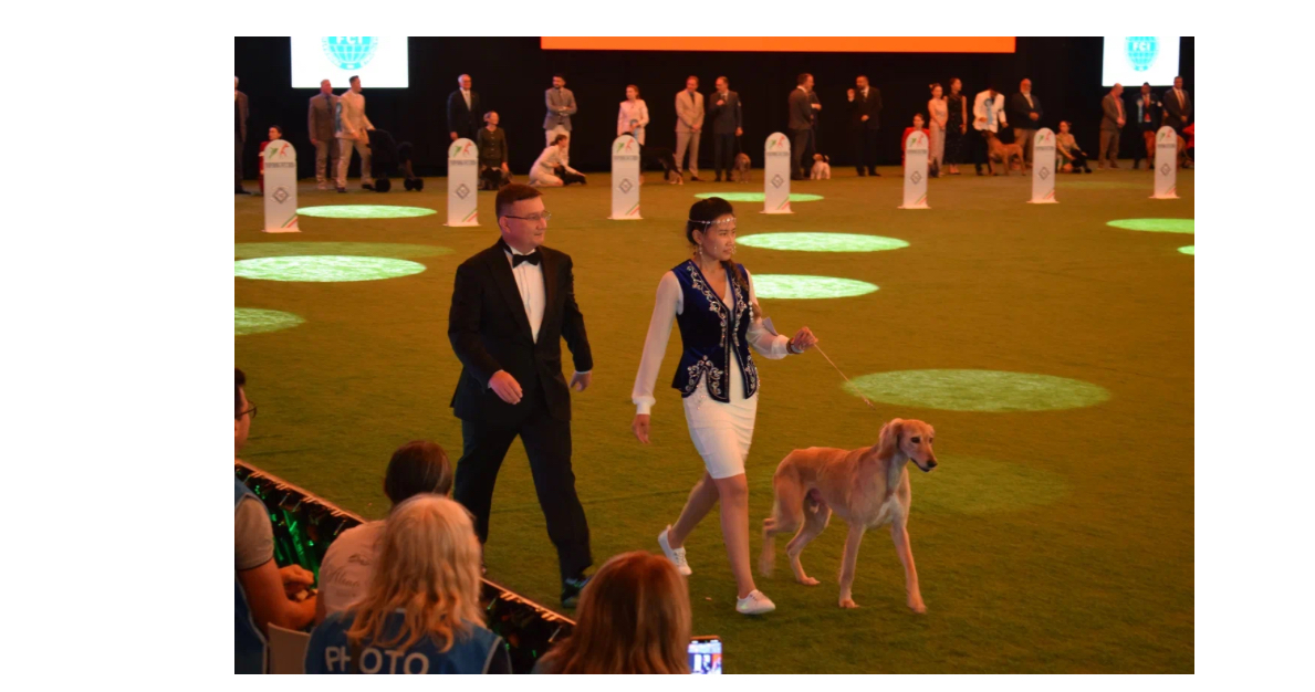 Қазақы тазы Болоньяда өткенWorld Dog Show 2026 көрмесінде салтанатты түрде таныстырылды